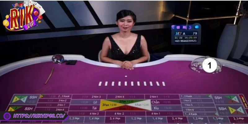 Fantan Rikvip Thu Hút Người Chơi Nhờ Phong Cách Đặc Biệt 3 Hướng dẫn chơi Fantan dễ hiểu cho tân thủ