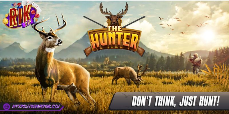 Thợ Săn Nai Vàng Rikvip - Thế Giới Bắn Thú Cực Sống Động 3 Canh đúng lúc để săn bắt nai